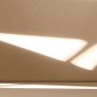A sombra da luz